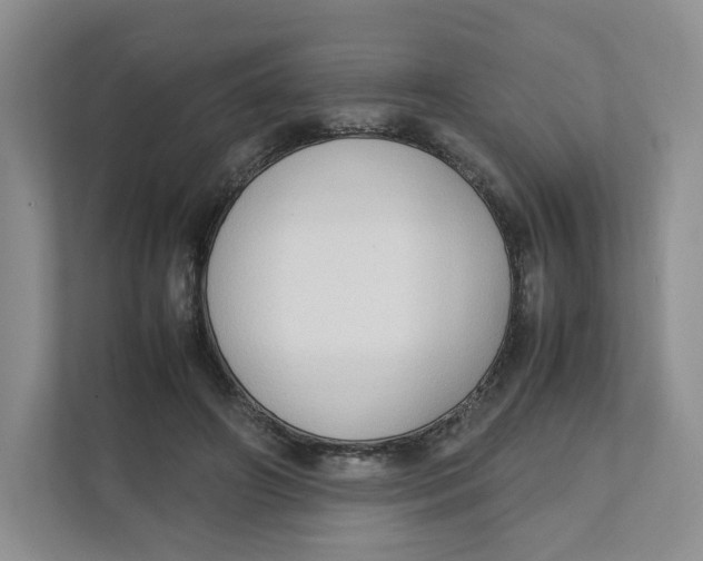 X0000111950498200908171321