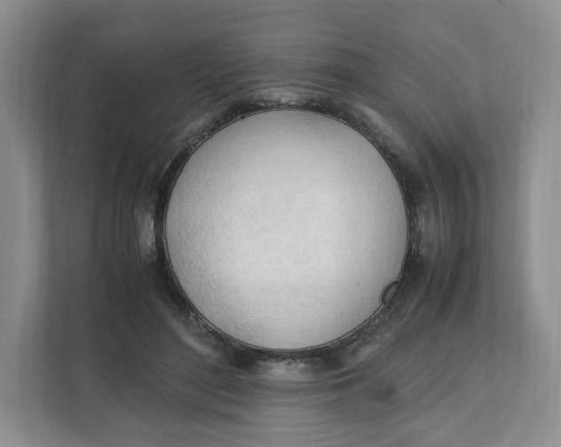 X0000111950500200908171321