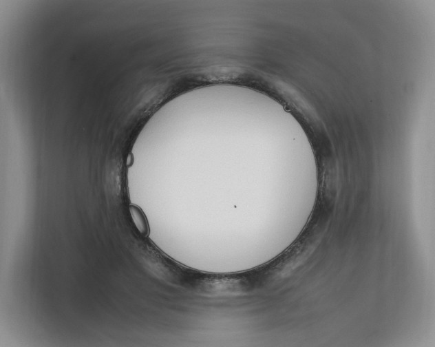 X0000111950501200908171321