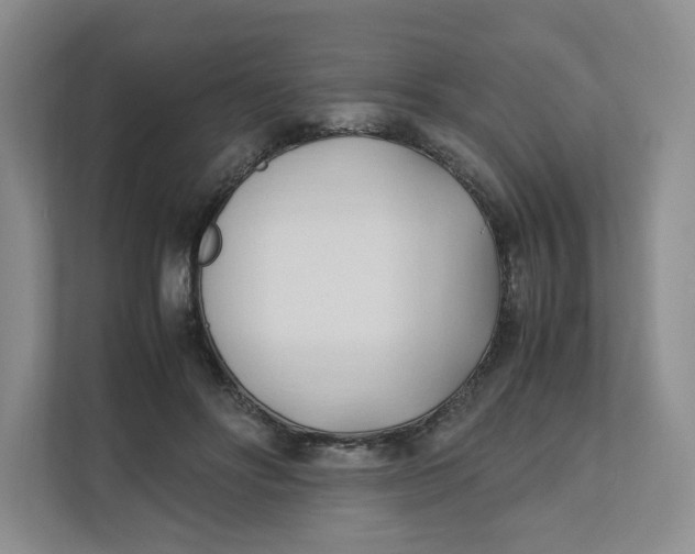 X0000111950502200908171320