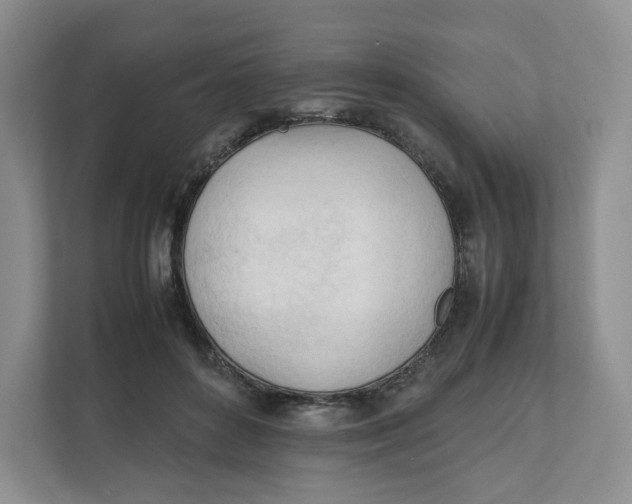 X0000111950504200908171320