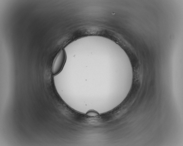 X0000111950505200908171320