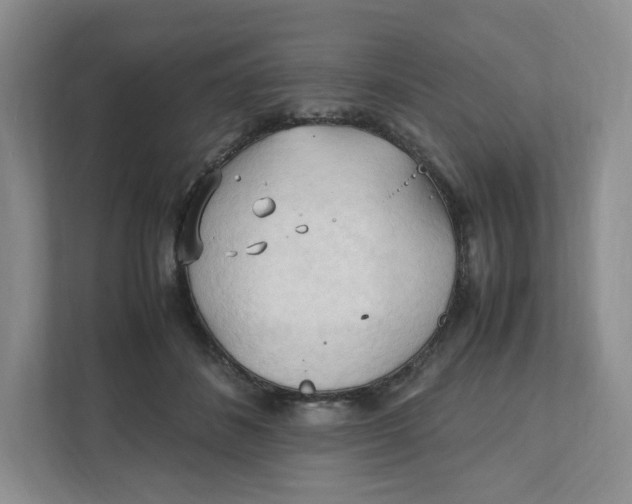 X0000111950508200908171320