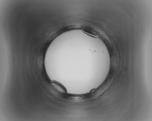 X0000111950509200908171320