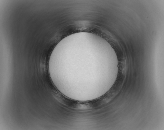 X0000111950510200908171320