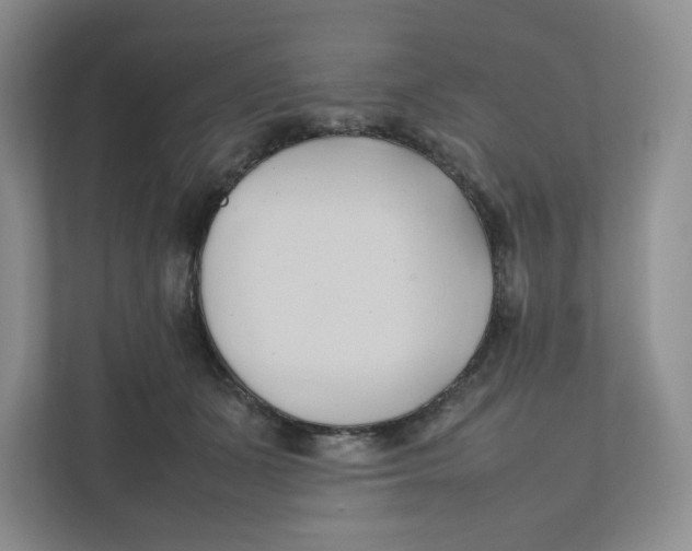 X0000111950511200908171320