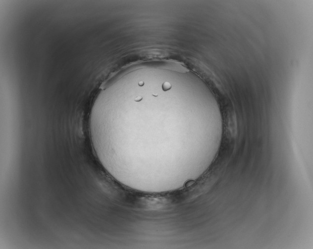 X0000111950512200908171320