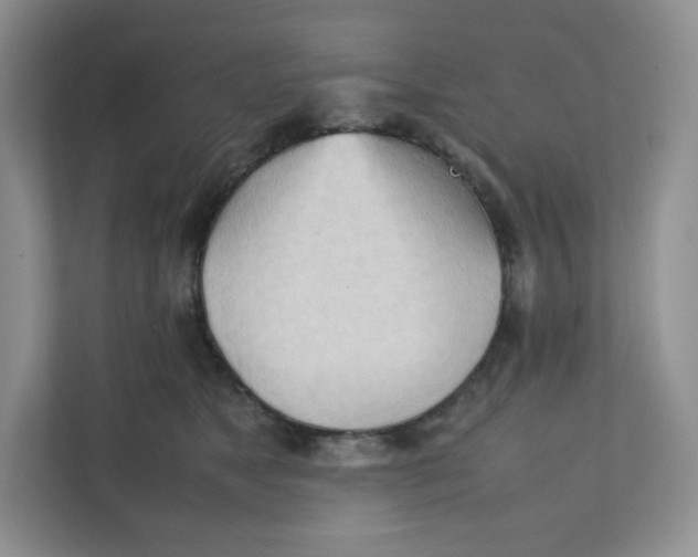 X0000111950517200908171320