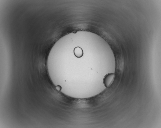 X0000111950518200908171320