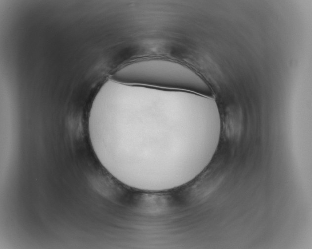 X0000111950520200908171320