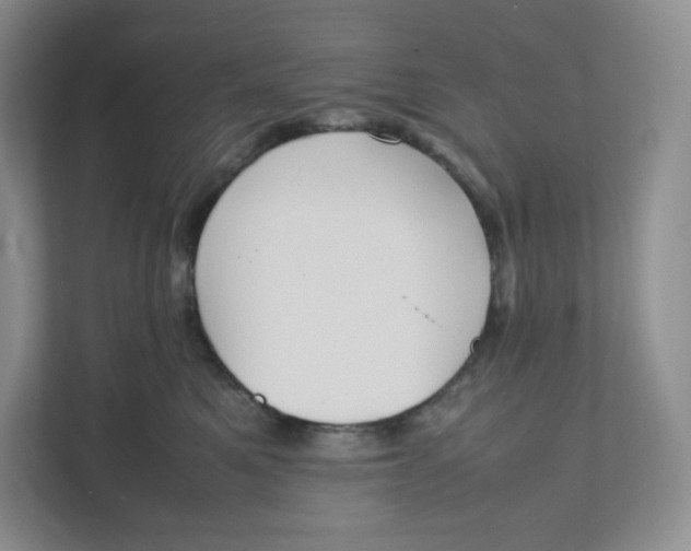 X0000111950521200908171320