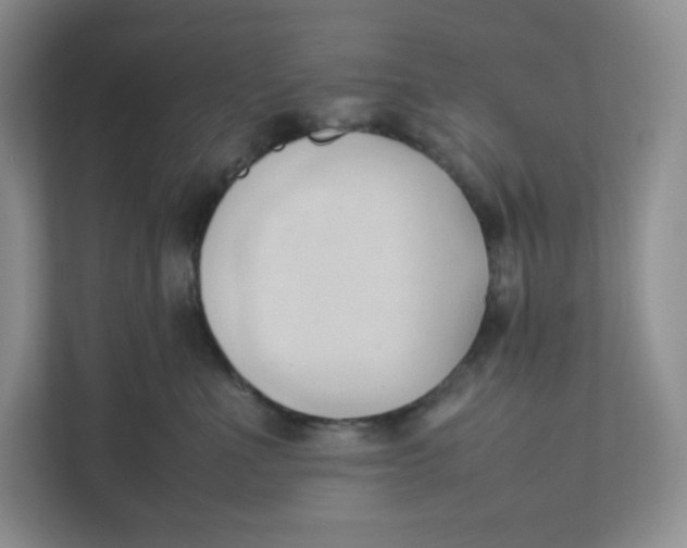 X0000111950523200908171320