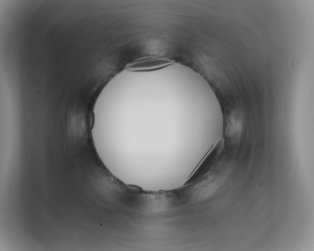 X0000111950524200908171320