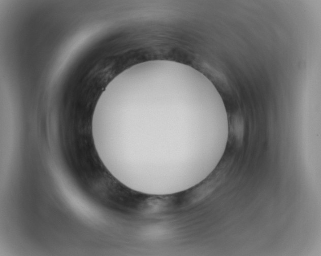 X0000111950526200908171320