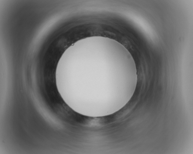 X0000111950527200908171320