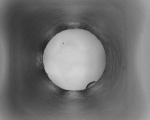 X0000111950528200908171320