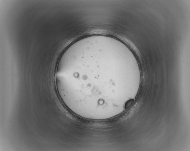 X0000111950529200908171320