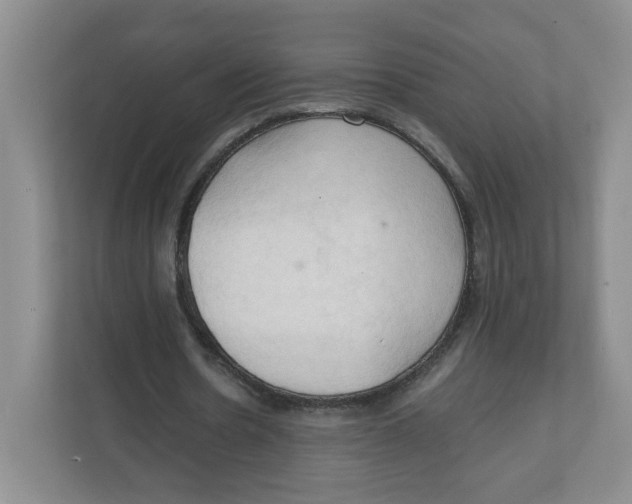 X0000111950530200908171320