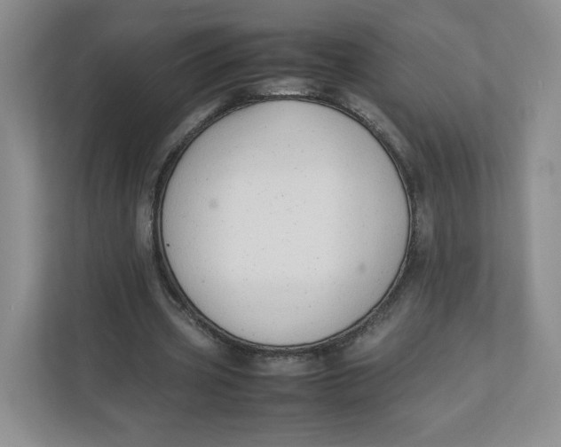 X0000111950533200908171320