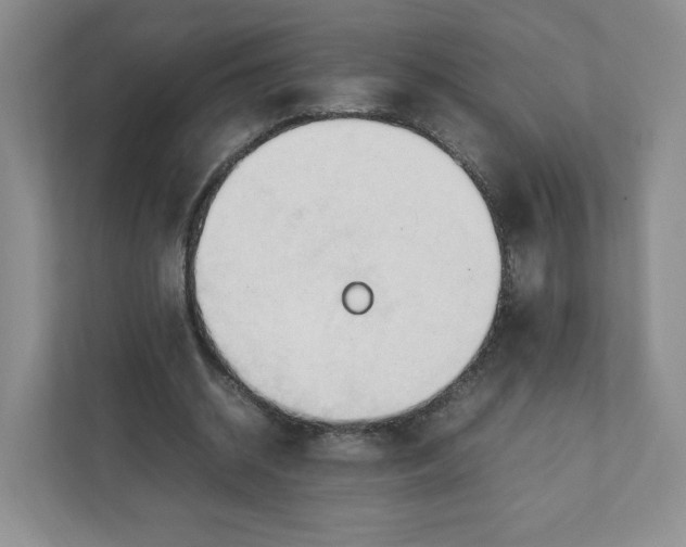 X0000111950534200908171320