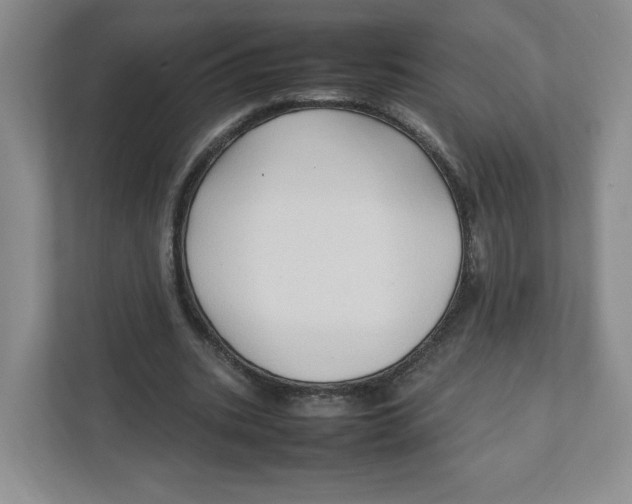 X0000111950535200908171320