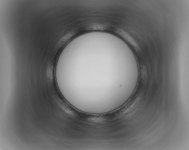 X0000111950537200908171320