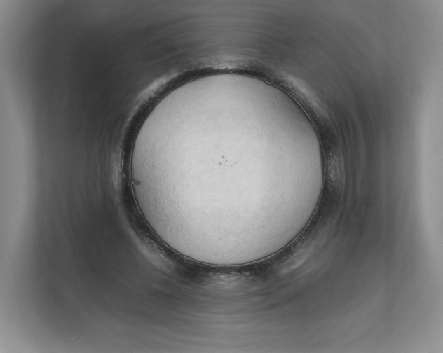 X0000111950540200908171320