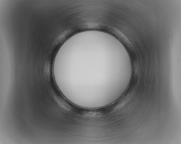 X0000111950542200908171320