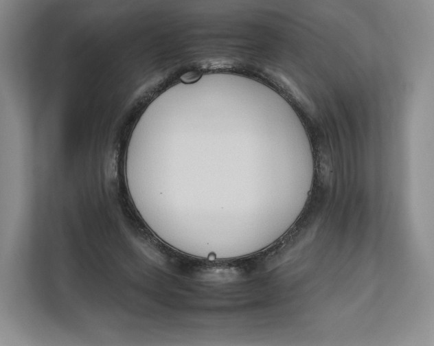 X0000111950543200908171320