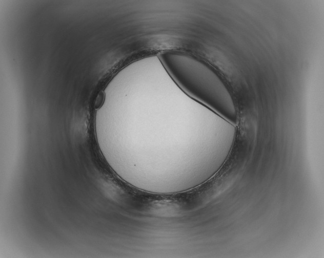 X0000111950544200908171320