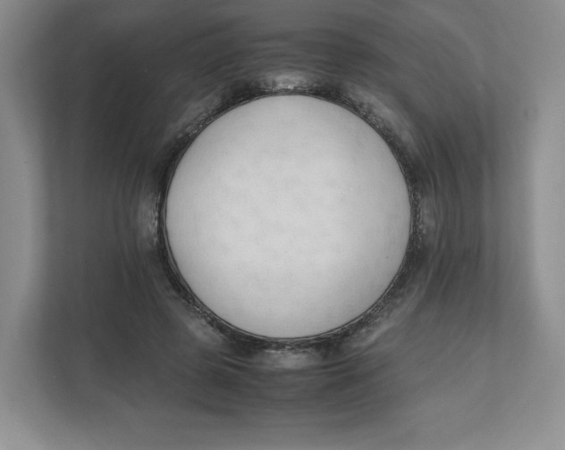 X0000111950545200908171320