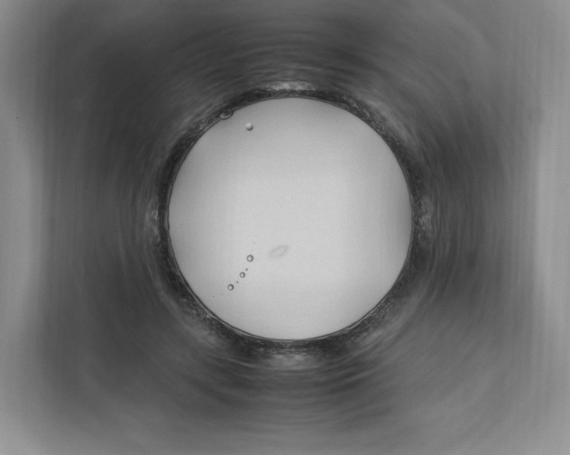 X0000111950547200908171320