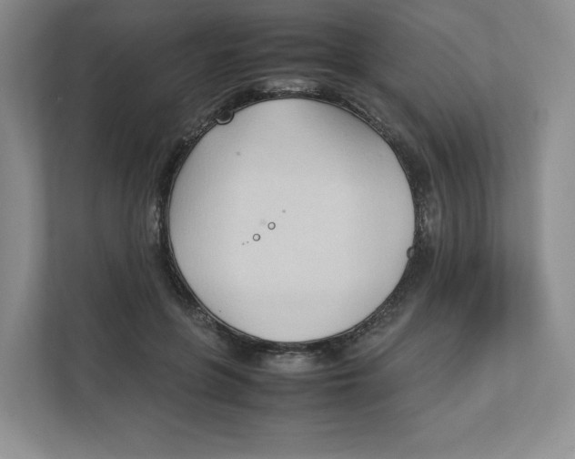 X0000111950551200908171320