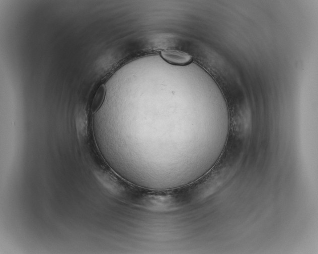 X0000111950552200908171320