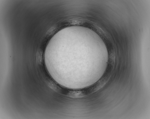 X0000111950554200908171320