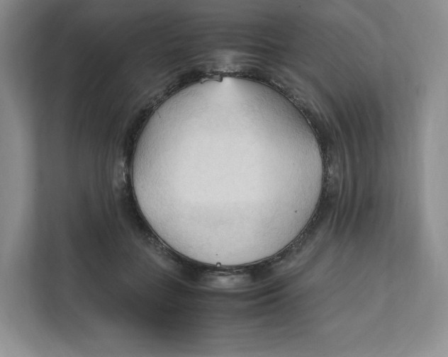 X0000111950555200908171320