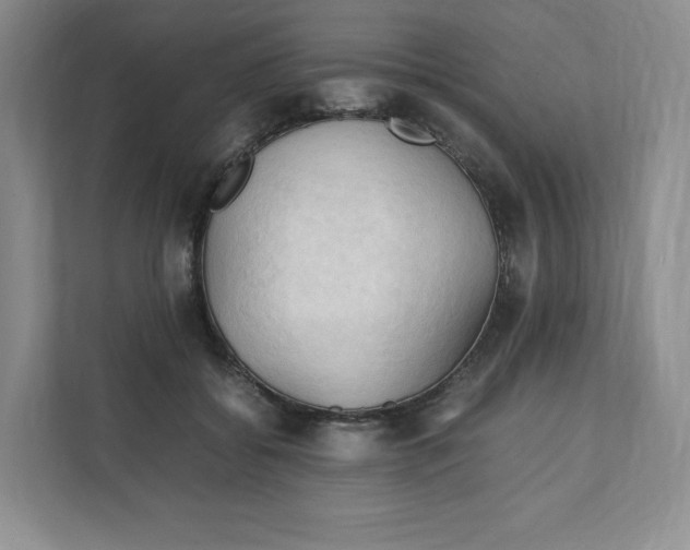 X0000111950556200908171320