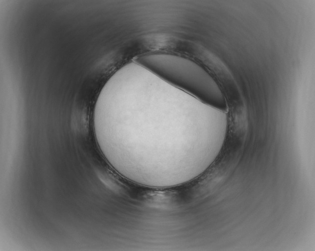 X0000111950558200908171320