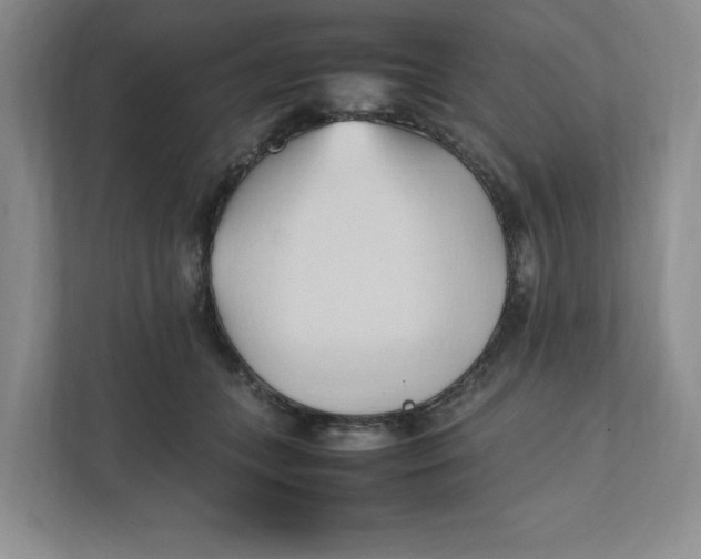 X0000111950559200908171320