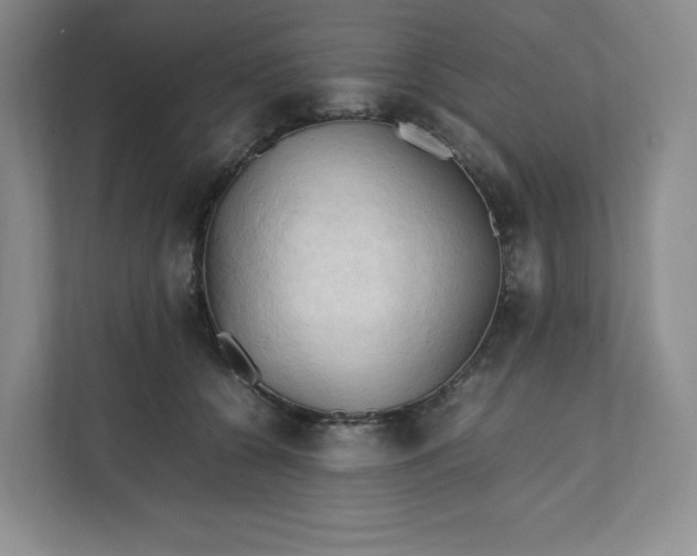 X0000111950560200908171320