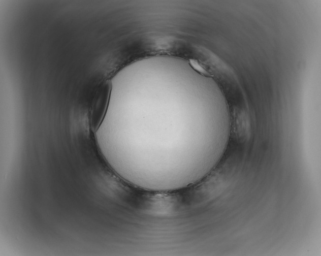 X0000111950562200908171320