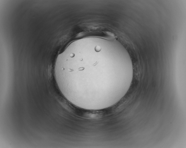 X0000111950563200908171320