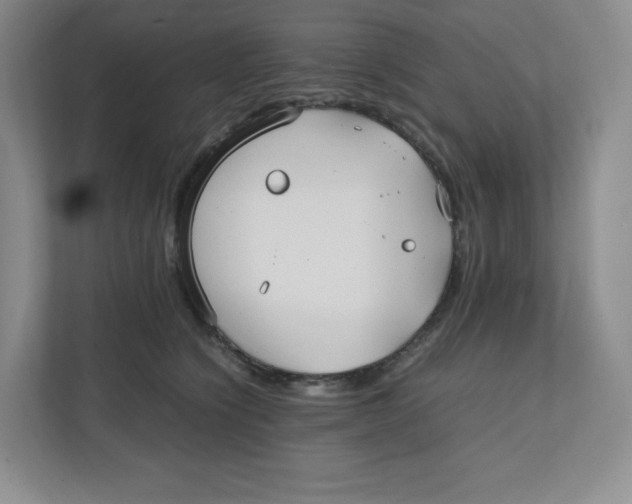 X0000111950564200908171320