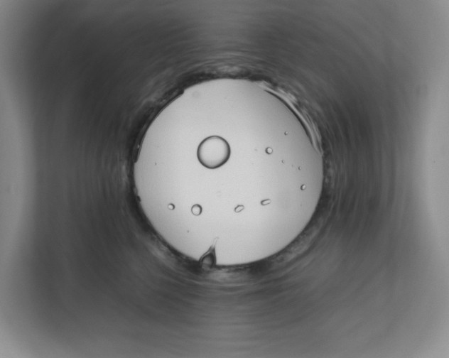 X0000111950568200908171320