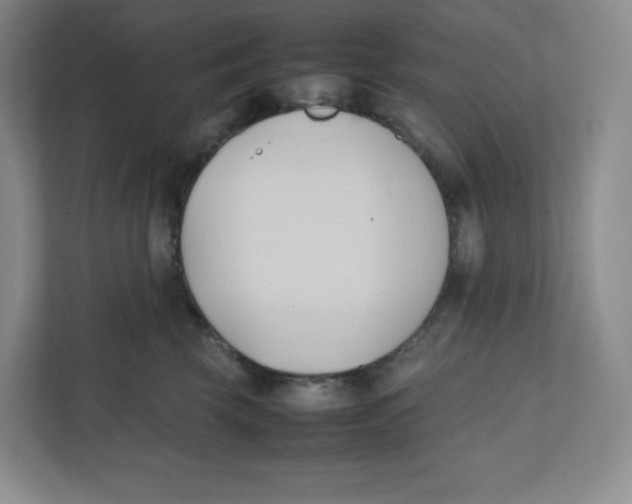 X0000111950569200908171320