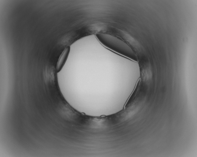 X0000111950570200908171320