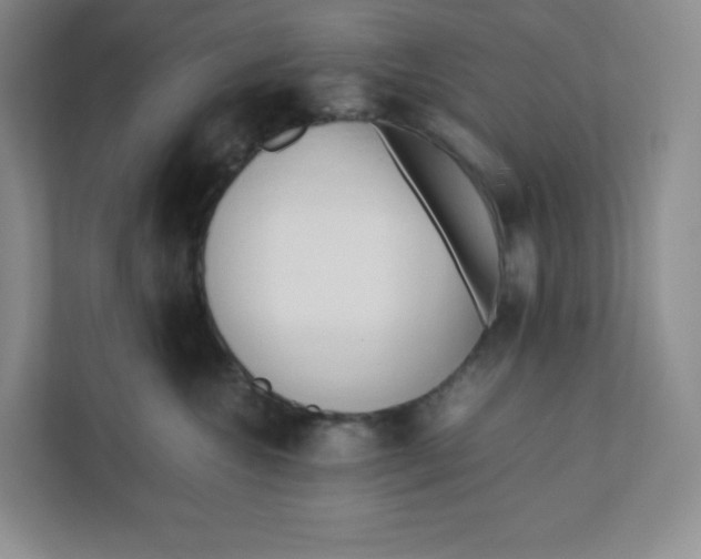 X0000111950572200908171320