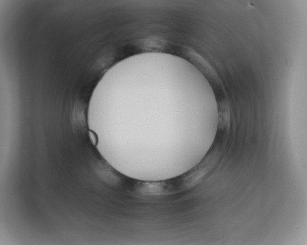 X0000111950573200908171320