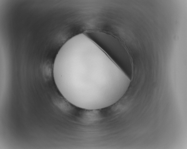 X0000111950576200908171320