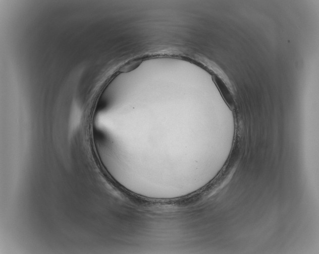 X0000111950577200908171319